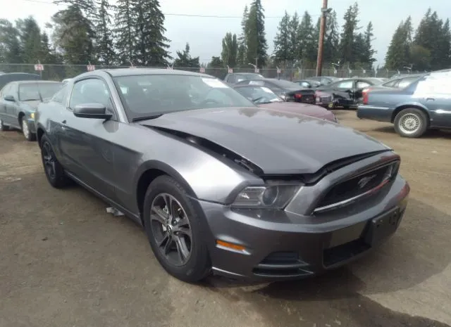 FORD MUSTANG 2013 1zvbp8am2d5264931