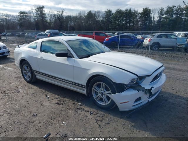 FORD MUSTANG 2013 1zvbp8am2d5265349