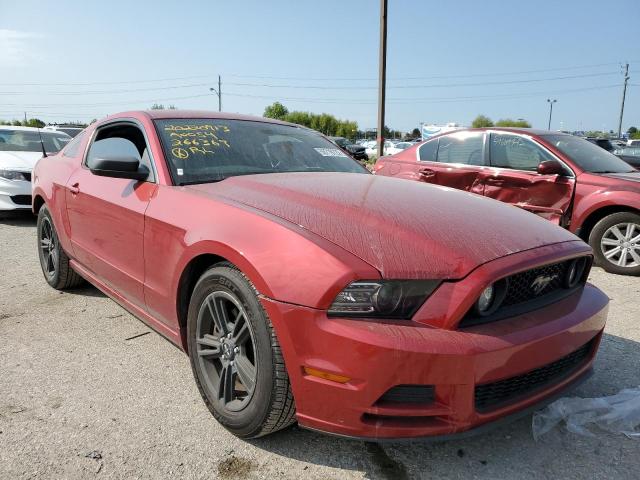 FORD MUSTANG 2013 1zvbp8am2d5266369