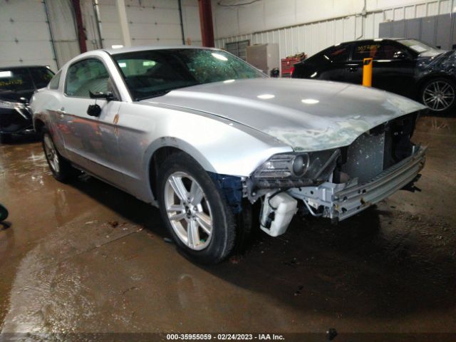 FORD MUSTANG 2013 1zvbp8am2d5268011