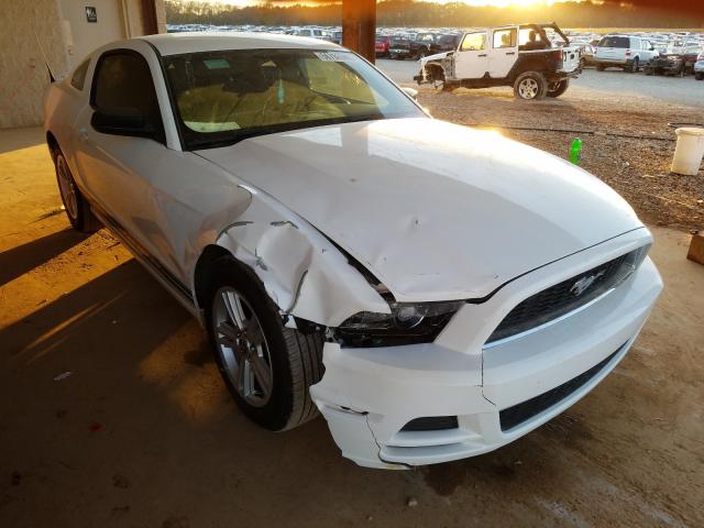 FORD MUSTANG 2013 1zvbp8am2d5268297