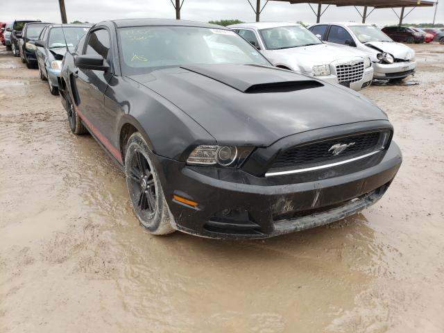 FORD MUSTANG 2013 1zvbp8am2d5269059