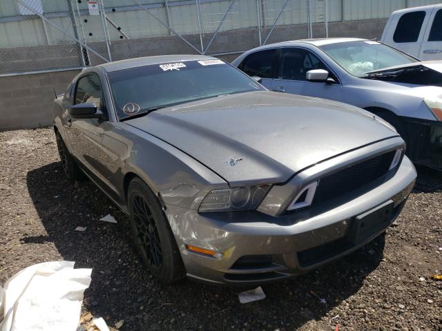 FORD MUSTANG 2013 1zvbp8am2d5269319