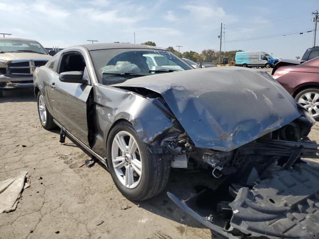 FORD MUSTANG 2013 1zvbp8am2d5269689