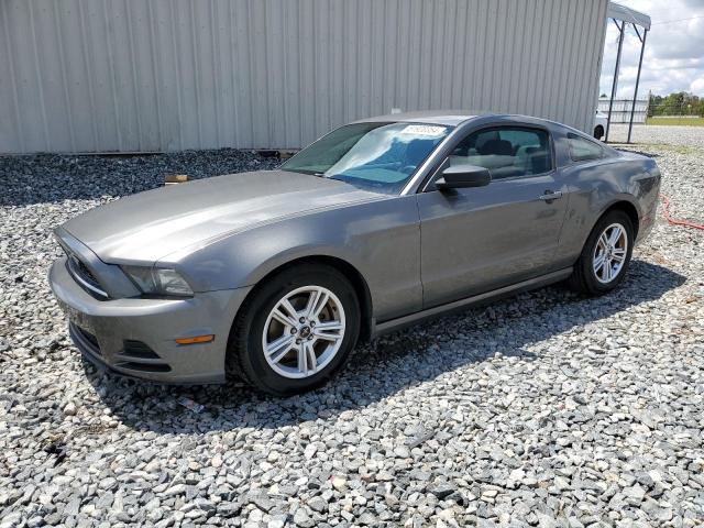 FORD MUSTANG 2013 1zvbp8am2d5269885