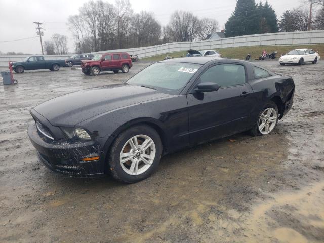 FORD MUSTANG 2013 1zvbp8am2d5270423