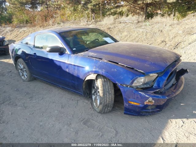 FORD MUSTANG 2013 1zvbp8am2d5271121