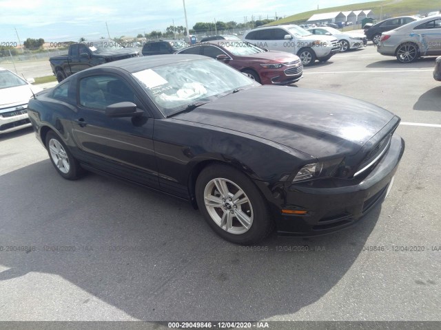 FORD MUSTANG 2013 1zvbp8am2d5273869