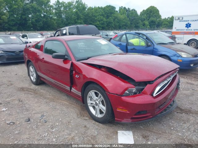 FORD MUSTANG 2014 1zvbp8am2e5203841