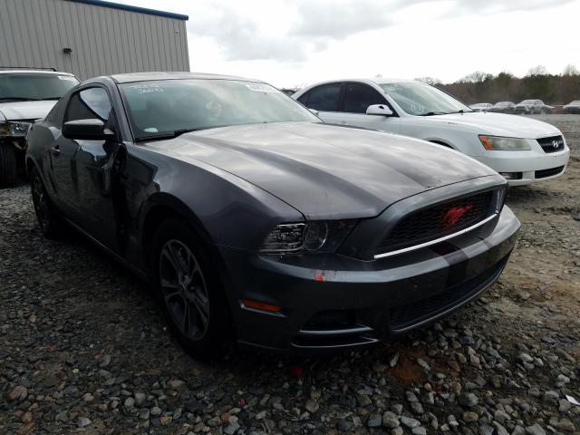 FORD MUSTANG 2014 1zvbp8am2e5210725