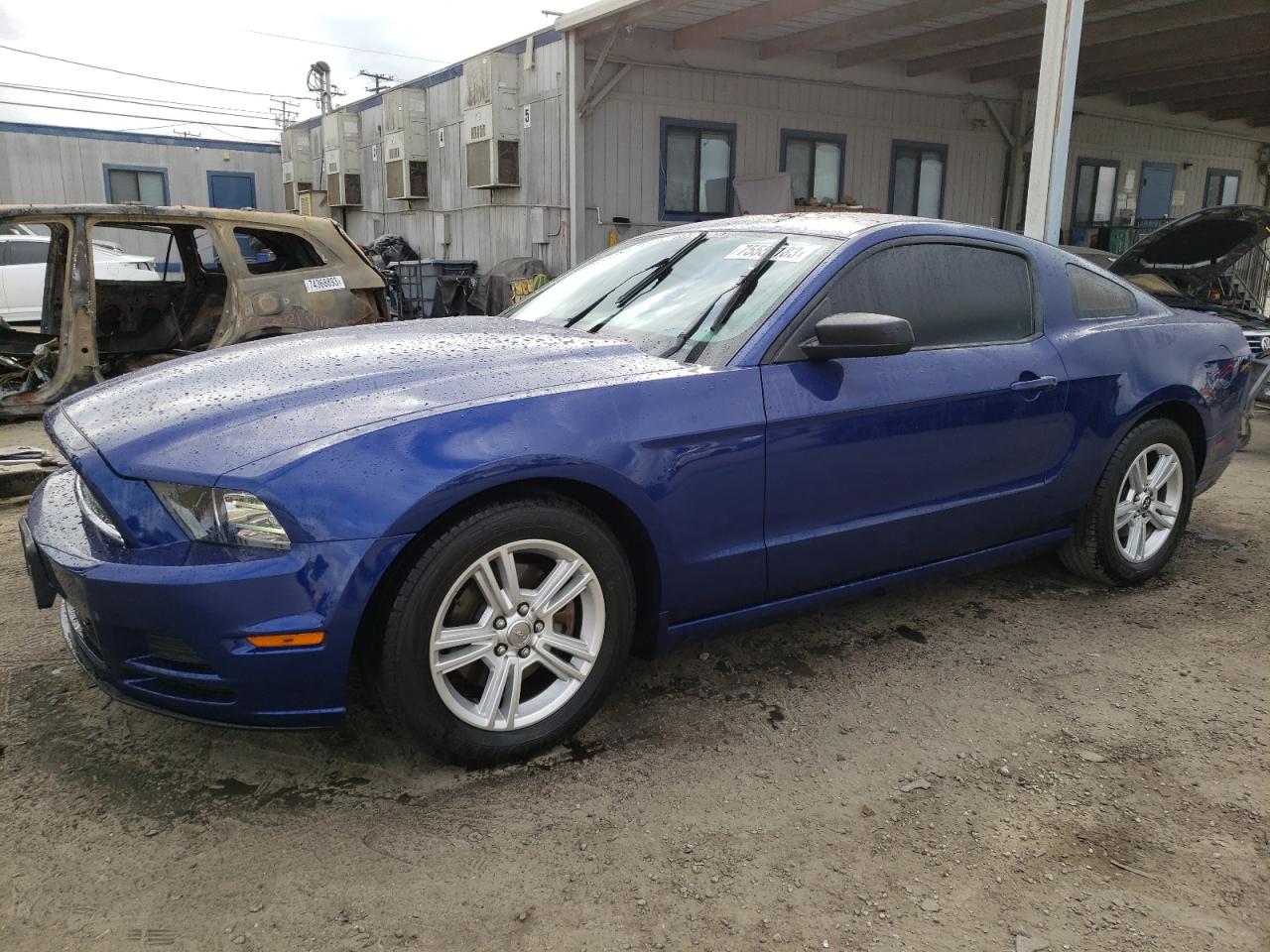 FORD MUSTANG 2014 1zvbp8am2e5219621