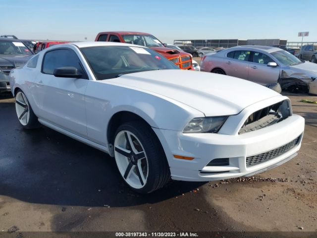 FORD MUSTANG 2014 1zvbp8am2e5241389