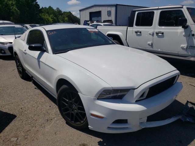 FORD MUSTANG 2014 1zvbp8am2e5254739