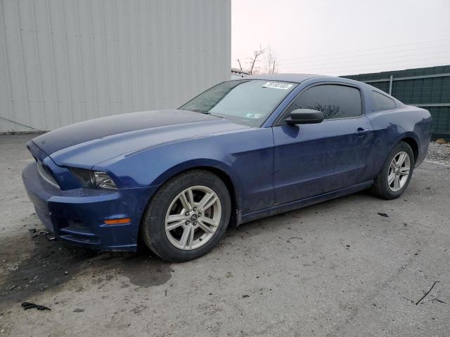 FORD MUSTANG 2014 1zvbp8am2e5282184