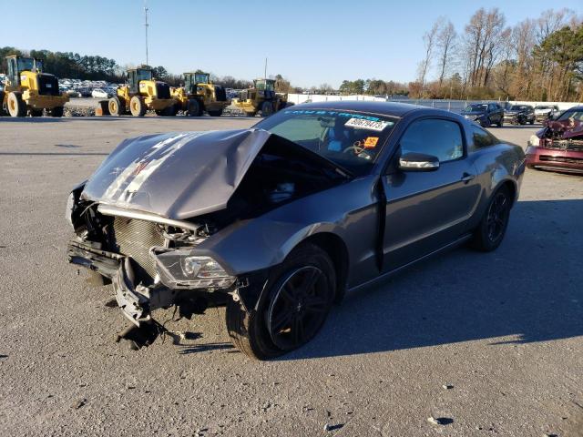 FORD MUSTANG 2014 1zvbp8am2e5282346