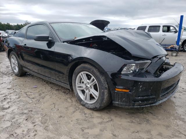 FORD MUSTANG 2014 1zvbp8am2e5282444