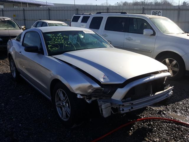 FORD MUSTANG 2014 1zvbp8am2e5283724