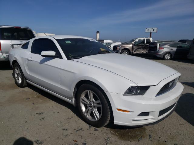 FORD MUSTANG 2014 1zvbp8am2e5285263