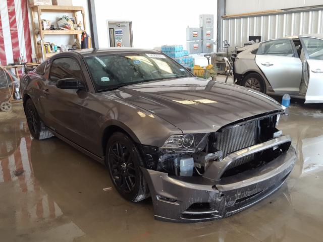 FORD MUSTANG 2014 1zvbp8am2e5296490