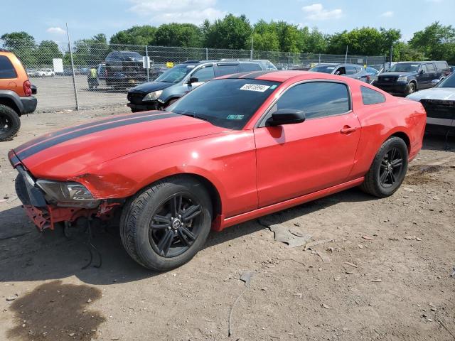 FORD MUSTANG 2014 1zvbp8am2e5313871