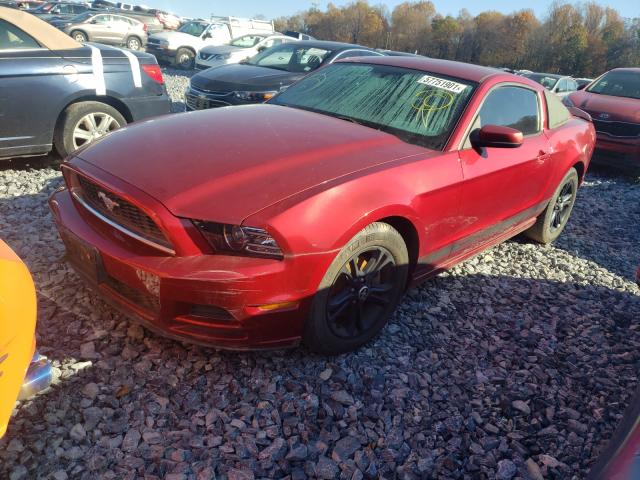 FORD MUSTANG 2014 1zvbp8am2e5315524