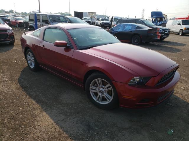 FORD MUSTANG 2014 1zvbp8am2e5325938