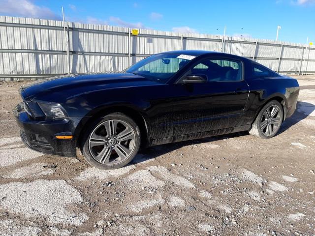 FORD MUSTANG 2014 1zvbp8am2e5325955