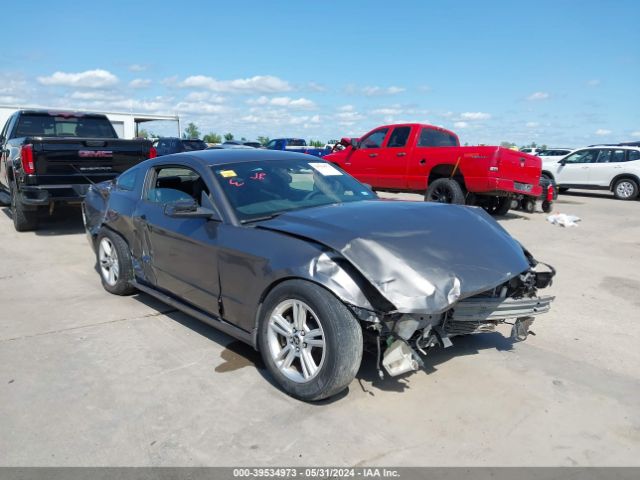 FORD MUSTANG 2014 1zvbp8am2e5334154