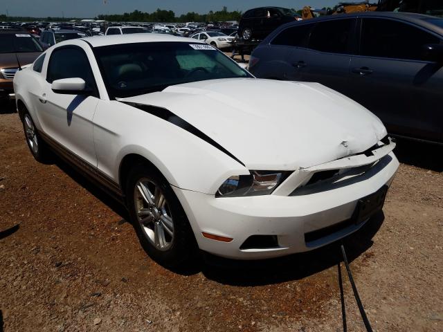 FORD MUSTANG 2011 1zvbp8am3b5100682