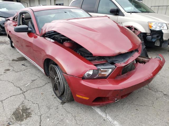 FORD MUSTANG 2011 1zvbp8am3b5105879