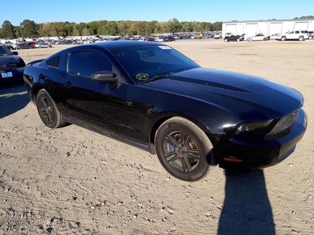 FORD MUSTANG 2011 1zvbp8am3b5111357