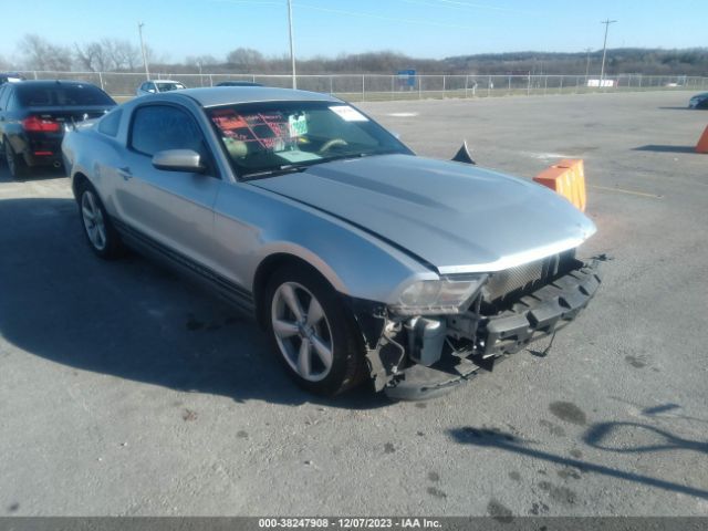 FORD MUSTANG 2011 1zvbp8am3b5111570