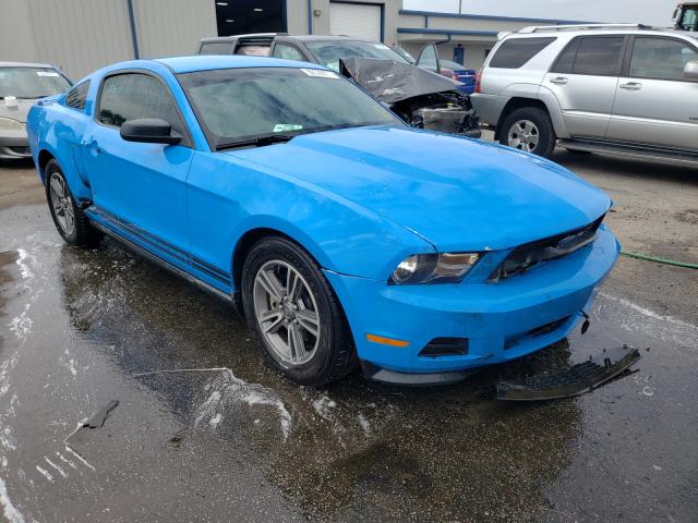 FORD MUSTANG 2011 1zvbp8am3b5114131