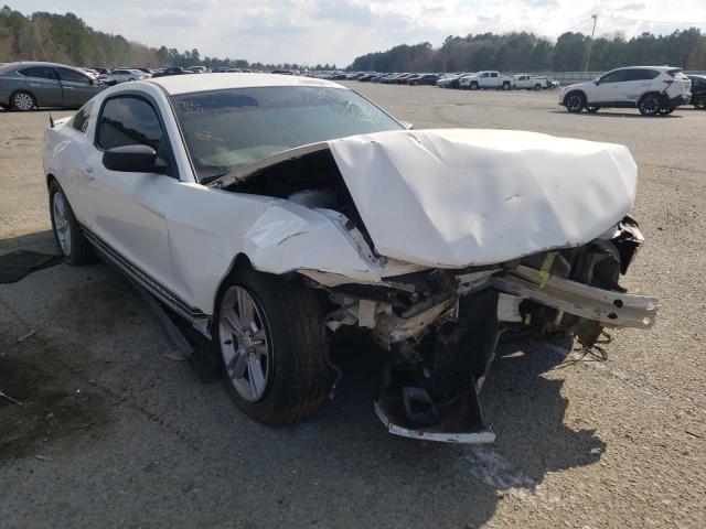 FORD MUSTANG 2011 1zvbp8am3b5115652