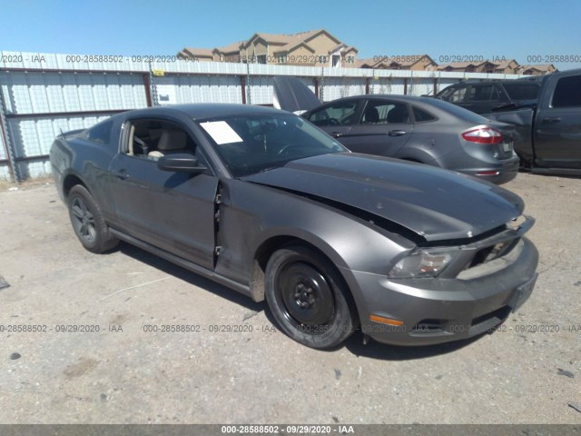 FORD MUSTANG 2011 1zvbp8am3b5120849