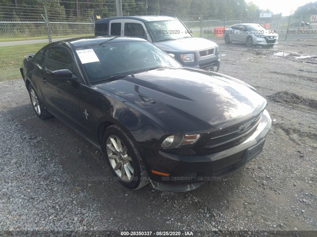 FORD MUSTANG 2011 1zvbp8am3b5121337