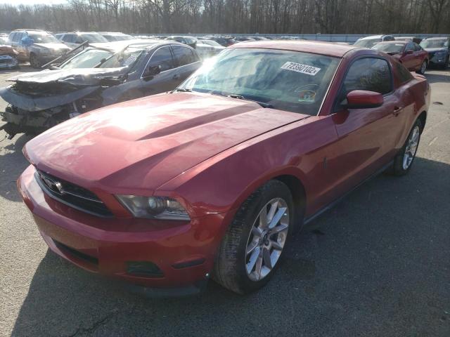 FORD MUSTANG 2011 1zvbp8am3b5129907