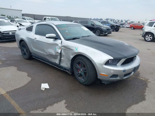 FORD MUSTANG 2011 1zvbp8am3b5131527