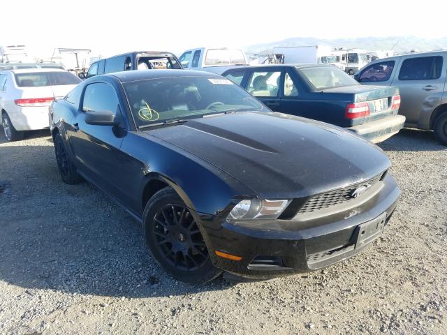 FORD MUSTANG 2011 1zvbp8am3b5132015