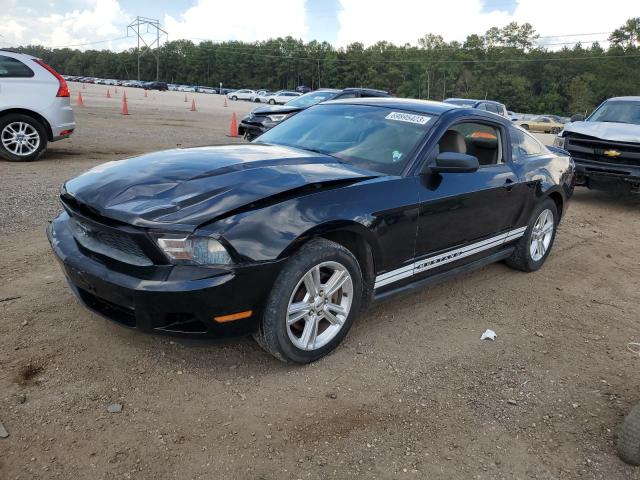 FORD MUSTANG 2011 1zvbp8am3b5135416