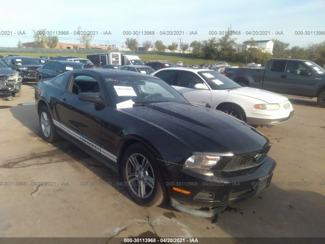 FORD MUSTANG 2011 1zvbp8am3b5135836