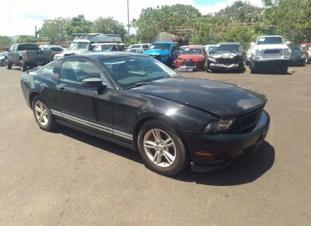 FORD MUSTANG 2011 1zvbp8am3b5136291