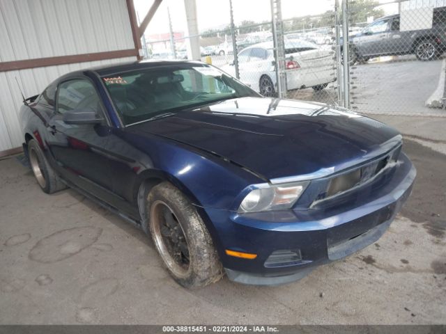 FORD MUSTANG 2011 1zvbp8am3b5138980