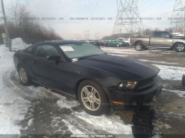 FORD MUSTANG 2011 1zvbp8am3b5141135