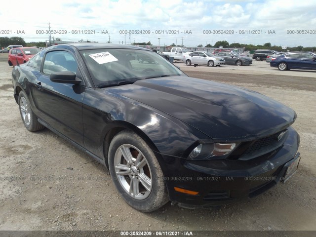 FORD MUSTANG 2011 1zvbp8am3b5141698