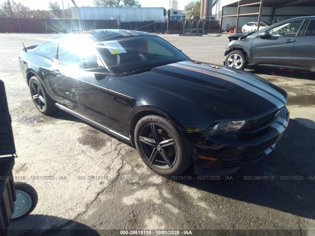 FORD MUSTANG 2011 1zvbp8am3b5148151