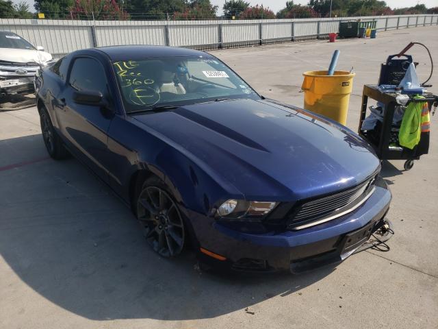 FORD MUSTANG 2011 1zvbp8am3b5149817