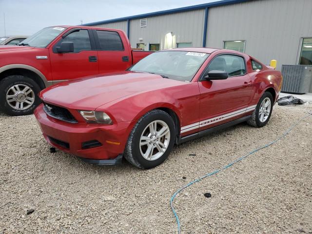 FORD MUSTANG 2011 1zvbp8am3b5151244