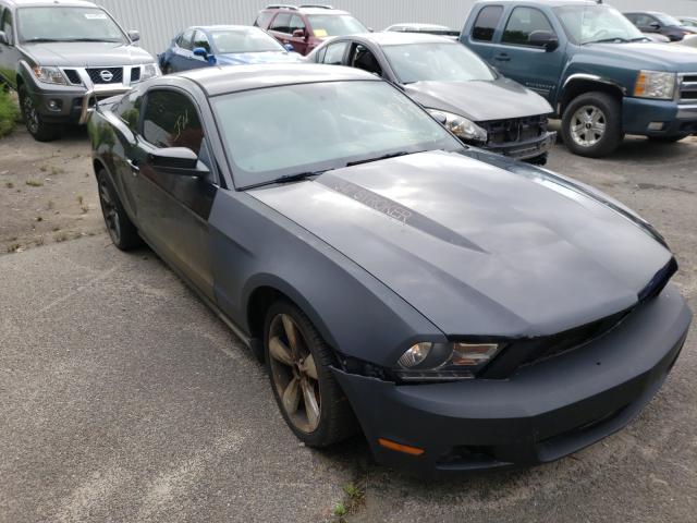 FORD MUSTANG 2011 1zvbp8am3b5151308