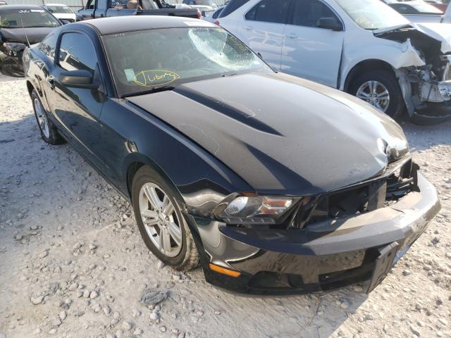 FORD MUSTANG 2011 1zvbp8am3b5154743